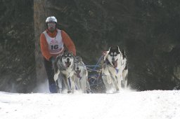 San Bernardino 2008